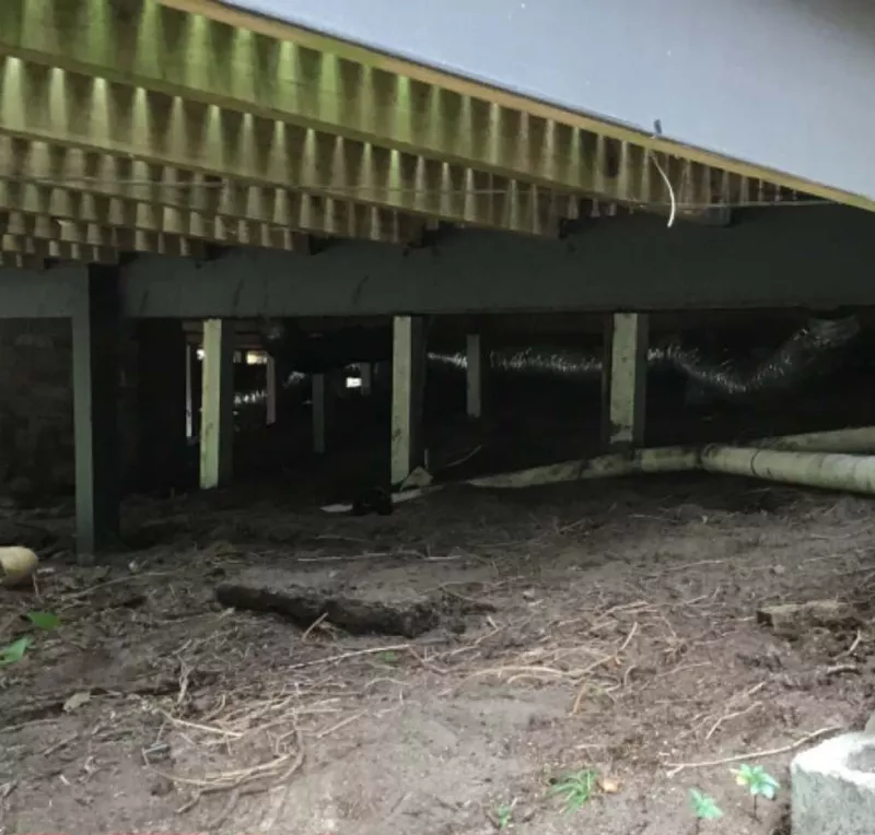 New stumps under a raised, painted timber subfloor – restumping in St Leonards